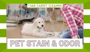 PET STAIN & ODOR